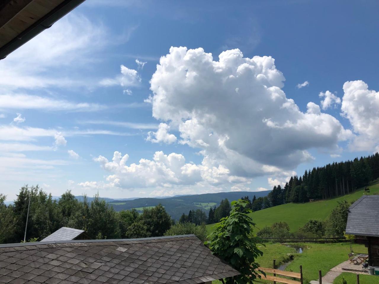 Waldheimathuette Villa Sankt Kathrein am Hauenstein Buitenkant foto