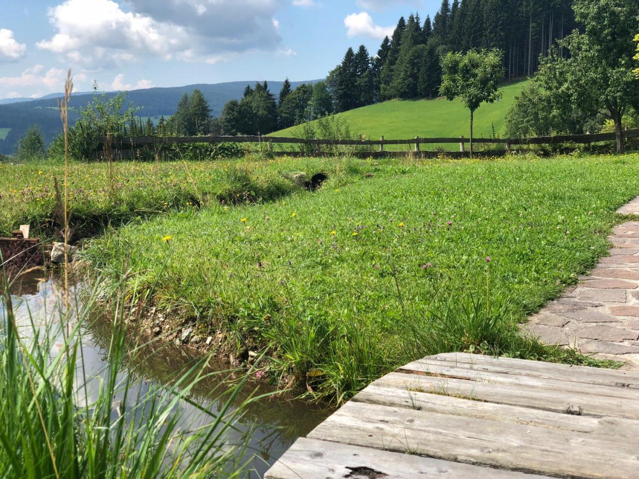 Waldheimathuette Villa Sankt Kathrein am Hauenstein Buitenkant foto