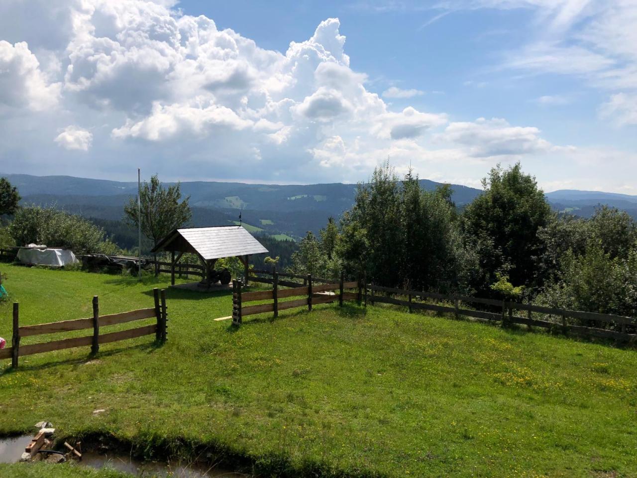 Waldheimathuette Villa Sankt Kathrein am Hauenstein Buitenkant foto