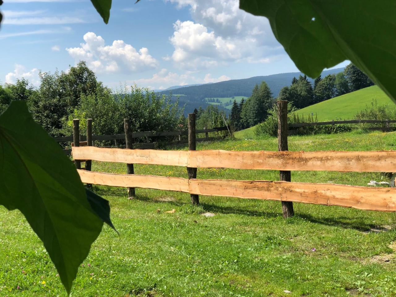 Waldheimathuette Villa Sankt Kathrein am Hauenstein Buitenkant foto