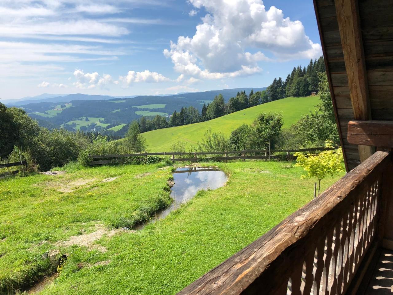 Waldheimathuette Villa Sankt Kathrein am Hauenstein Buitenkant foto