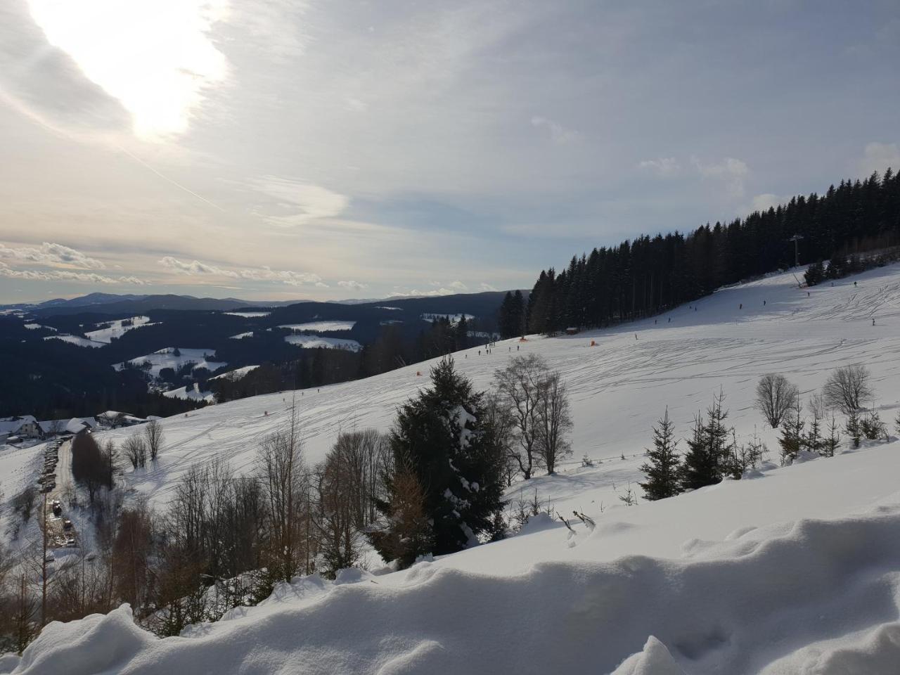 Waldheimathuette Villa Sankt Kathrein am Hauenstein Buitenkant foto