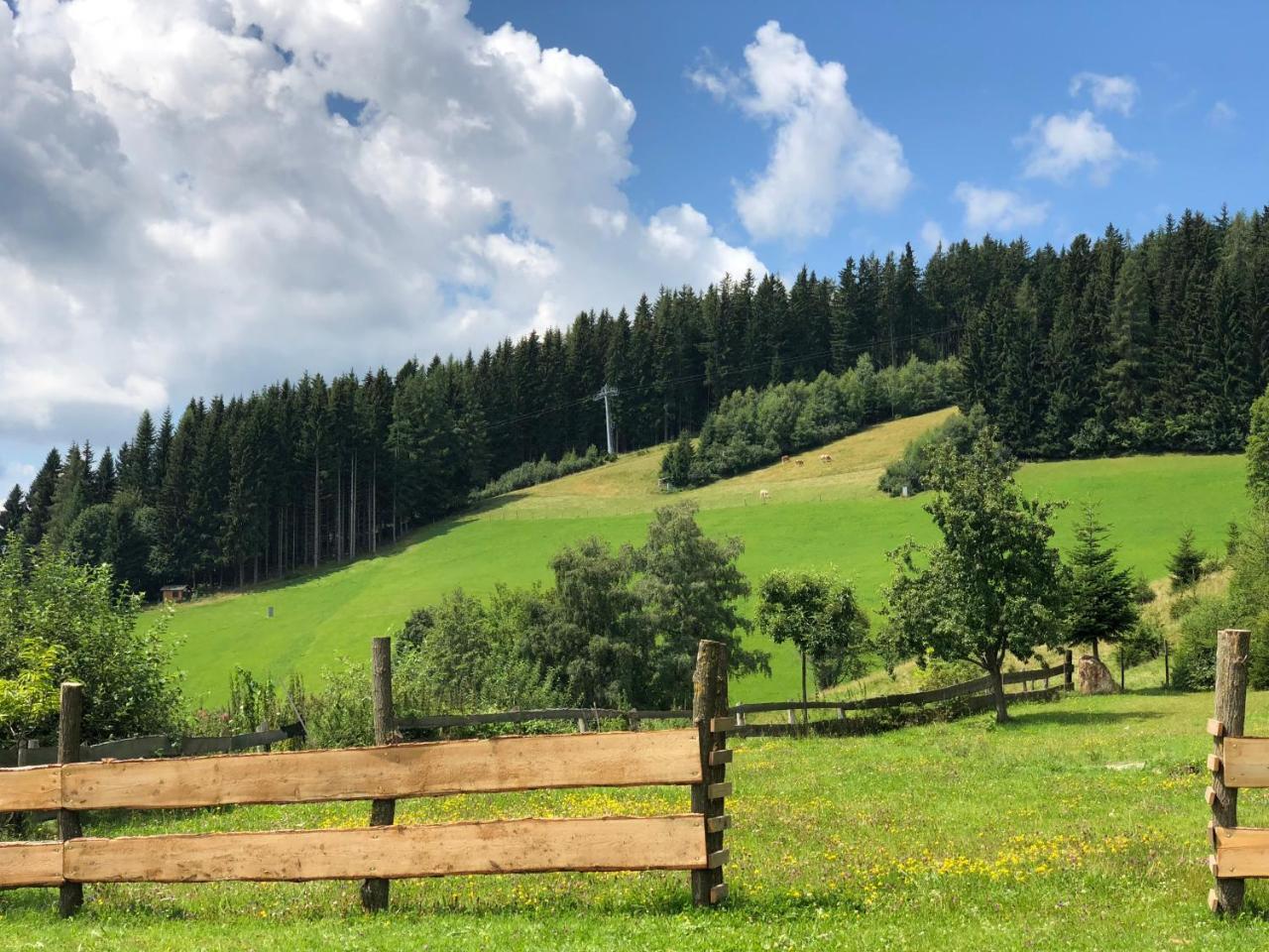 Waldheimathuette Villa Sankt Kathrein am Hauenstein Buitenkant foto